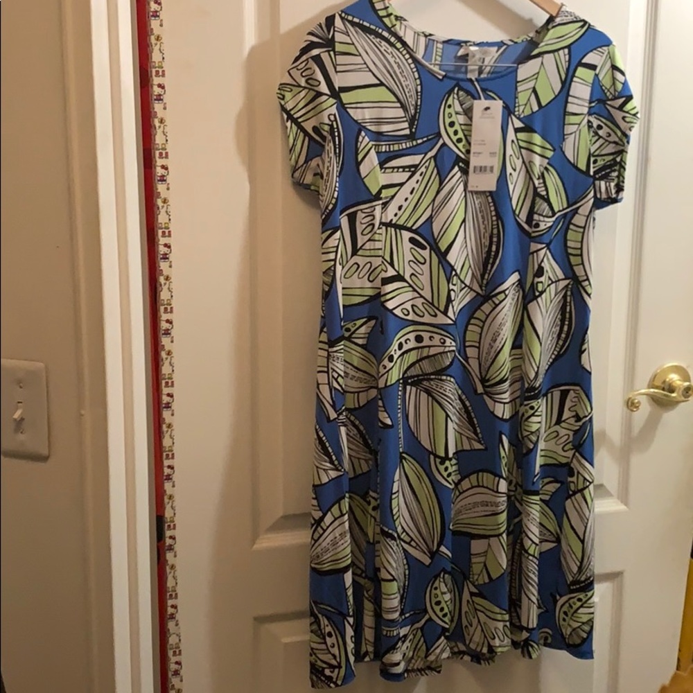 Women’s Dress